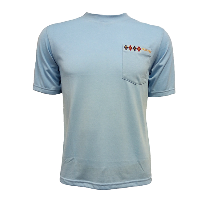 Pointer Basic T - Sky