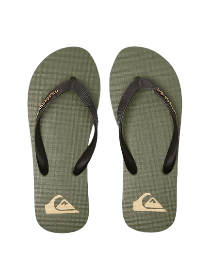 Quiksilver Molokai men's green sandals – Brandzz South Africa online store