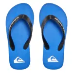 Quiksilver Molokai Core men's blue sandals – Brandzz South Africa online store